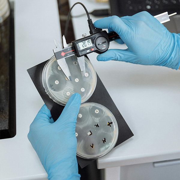 3 RD YEAR  BACTERIOLOGY 